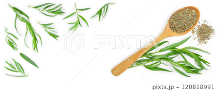 tarragon or estragon fresh and dried isolated on a white background with copy space for your text. Top view. Flat lay 120818991