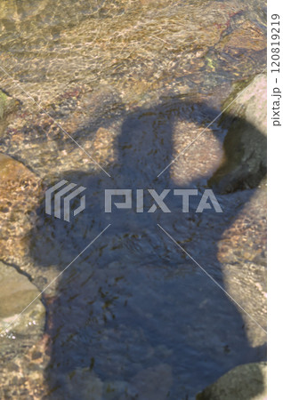 shadow of the photographer 120819219