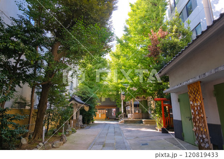 東京都台東区 銀杏岡八幡神社 境内 東京都台東区 銀杏岡八幡神社 境内 120819433