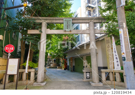 東京都台東区 銀杏岡八幡神社 鳥居 東京都台東区 銀杏岡八幡神社 鳥居 120819434