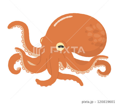 タコのイラスト 120819601