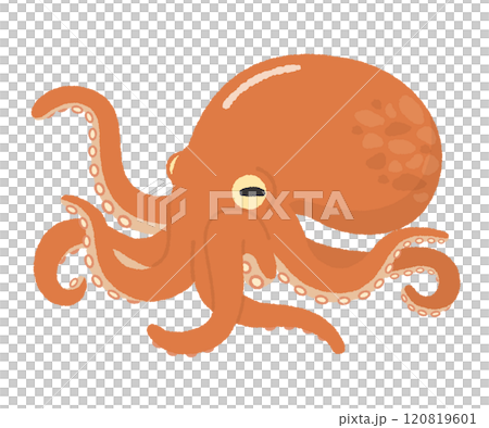 タコのイラスト 120819601
