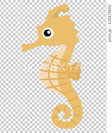 タツノオトシゴのイラスト タツノオトシゴのイラスト 120819602