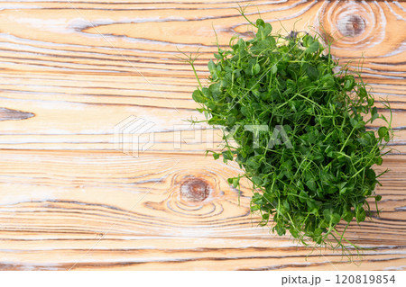 Organic microgreen pea photography . Healthy food . Top view Organic microgreen pea photography . Healthy food . Top view 120819854