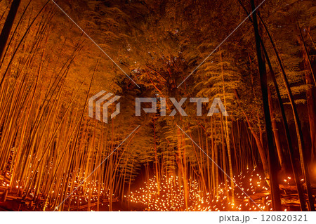 小机城址市民の森　竹灯篭まつり2024 120820321