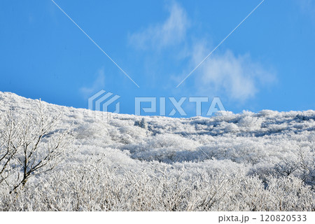 牧ノ戸峠 樹氷 牧ノ戸峠 樹氷 120820533