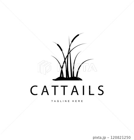 Cattail Logo Design Vector Simple Illustration Symbol Template 120821250