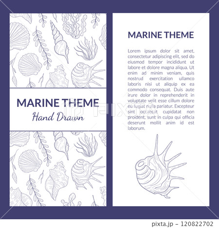 Marine Theme Banner Template with Place for Text, Undersea World with Seaweed and Seashells Hand Drawn Vector Illustration 120822702