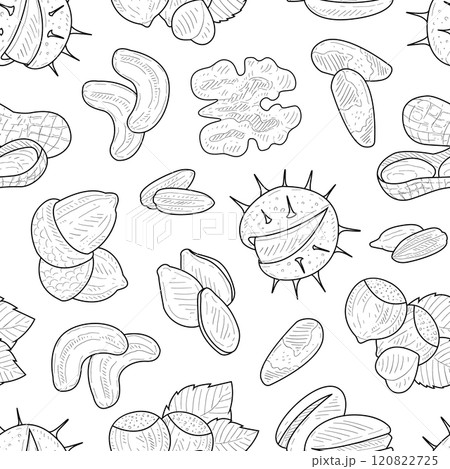 Natural Nuts and Seeds Seamless Pattern Hand Drawn Monochrome Vector Illustration Natural Nuts and Seeds Seamless Pattern Hand Drawn Monochrome Vector Illustration 120822725