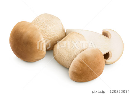 Fresh porcini cep mushroom isolated on white background with full depth of field Fresh porcini cep mushroom isolated on white background with full depth of field 120823054