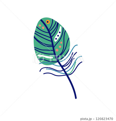 Beautiful Colored Bird Feather Decoration Element Vector Illustration Beautiful Colored Bird Feather Decoration Element Vector Illustration 120823470