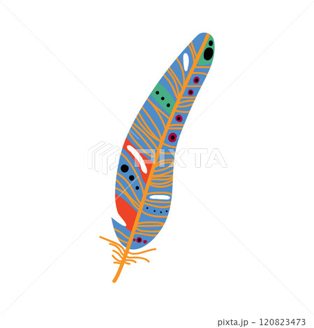 Colored Bird Feather Decoration Element Vector Illustration 120823473