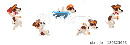 Funny Jack Russell Terrier Puppy Do Sport Activity Vector Set Funny Jack Russell Terrier Puppy Do Sport Activity Vector Set 120823628