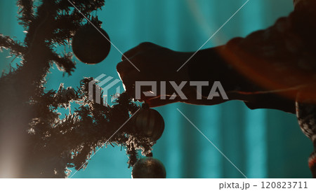 Decorating the Christmas tree in the night  120823711