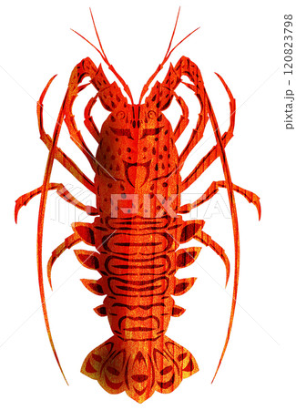 高級食材伊勢えびのオシャレな切り絵イラスト 高級食材伊勢えびのオシャレな切り絵イラスト 120823798