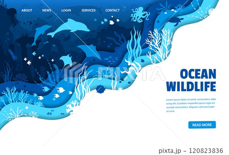 Paper cut ocean underwater landscape landing page template with sea animals and fish vector silhouettes. Dolphin, octopus, squid and whale, sea turtle and jellyfish webpage with 3d paper cut border 120823836