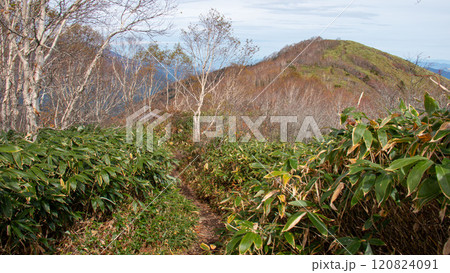 秋の飯綱山トレッキングの風景　飯縄山南峰から山頂を望む　長野市　長野県　日本 120824091