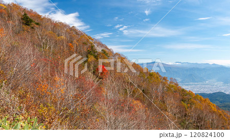 秋の飯綱山トレッキングの風景　紅葉　　長野市　長野県　日本 120824100