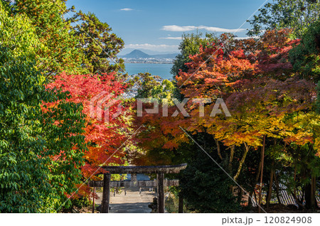 日吉東照宮参道から琵琶湖方面の眺め　滋賀県大津市坂本 120824908