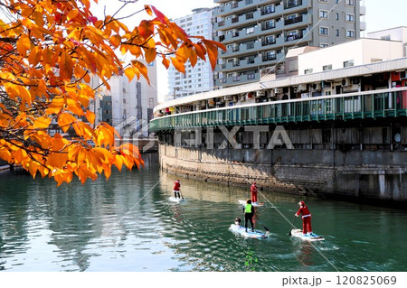 紅葉の横浜野毛にある都橋商店街 大岡川 横浜市 神奈川県 紅葉の横浜野毛にある都橋商店街 大岡川 横浜市 神奈川県 120825069