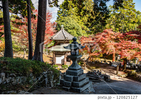 早尾神社参道から見た早尾地蔵尊と石灯籠　滋賀県大津市坂本 120825127
