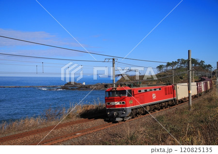 絶景の信越本線を駆け抜けるEF510-15号機牽引の貨物列車_2024/12/2撮影 120825135