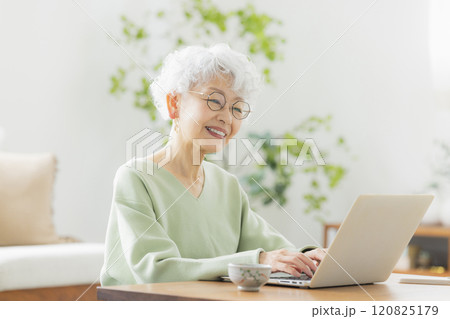 パソコンを操作するシニア女性　 120825179
