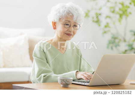パソコンを操作するシニア女性　 120825182