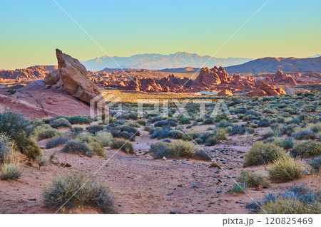 Rugged Red Rocks and Desert Grasses at Golden Hour Eye-Level View 120825469