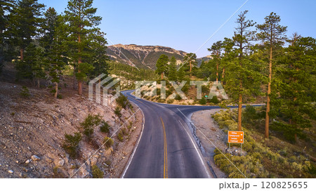 Aerial of Serene Mountain Road Through Forest, Mt Charleston, Nevada 120825655