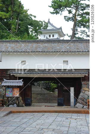 大垣城天守閣と東門(柳口御門移築) 大垣城天守閣と東門(柳口御門移築) 120826106