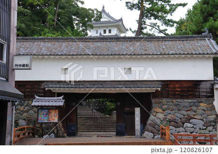 大垣城天守閣と東門（柳口御門移築） 120826107