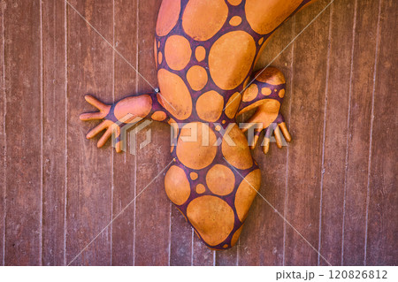 Vibrant Gecko Mural on Wood with Motion Detail at Eye Level Vibrant Gecko Mural on Wood with Motion Detail at Eye Level 120826812