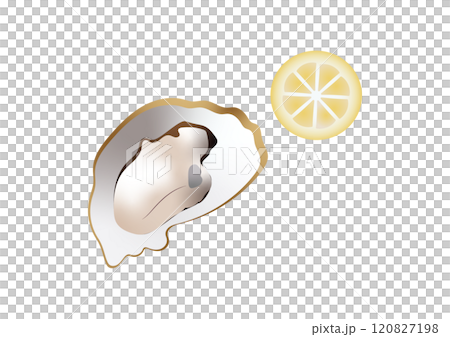 生牡蠣とレモンの輪切りのイラスト 生牡蠣とレモンの輪切りのイラスト 120827198