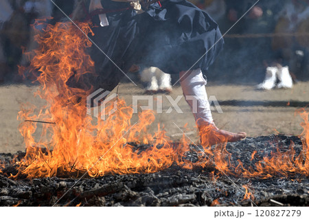 紫燈護摩　火渡り修行 120827279