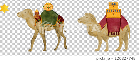 Camel with saddle blankets and chests with gifts Christmas watercolor illustration. Hand painted seamless border for cards, posters, stickers, tape, decoration for celebration of true Christmas. Cute Camel with saddle blankets and chests with gifts Christmas watercolor illustration. Hand painted seamless border for cards, posters, stickers, tape, decoration for celebration of true Christmas. Cute 120827749