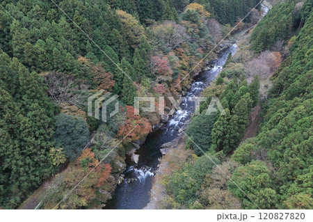銅山川（吉野川最長の支流）の富郷渓谷の紅葉（晩秋） 120827820