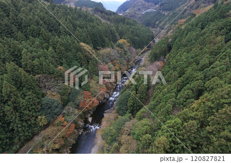 銅山川（吉野川最長の支流）の富郷渓谷の紅葉（晩秋） 120827821
