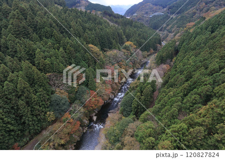 銅山川（吉野川最長の支流）の富郷渓谷の紅葉（晩秋） 120827824