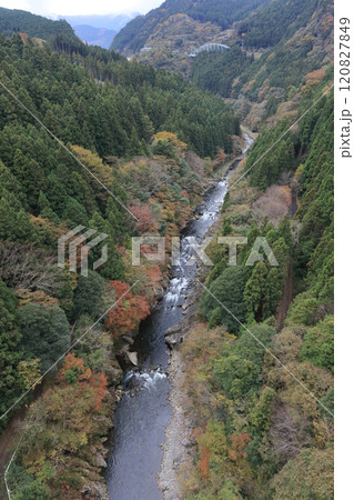銅山川（吉野川最長の支流）の富郷渓谷の紅葉（晩秋） 120827849