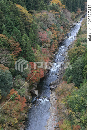 銅山川(吉野川最長の支流)の富郷渓谷の紅葉(晩秋) 銅山川(吉野川最長の支流)の富郷渓谷の紅葉(晩秋) 120827851
