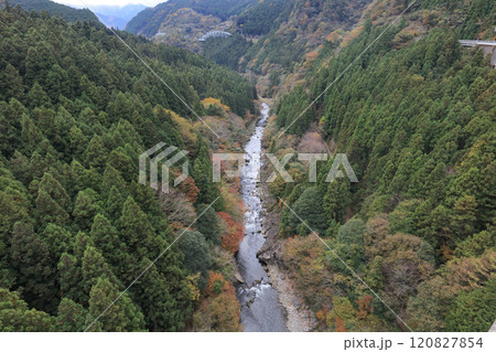 銅山川(吉野川最長の支流)の富郷渓谷の紅葉(晩秋) 銅山川(吉野川最長の支流)の富郷渓谷の紅葉(晩秋) 120827854
