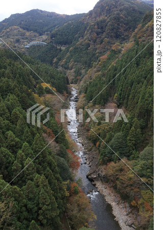 銅山川(吉野川最長の支流)の富郷渓谷の紅葉(晩秋) 銅山川(吉野川最長の支流)の富郷渓谷の紅葉(晩秋) 120827855