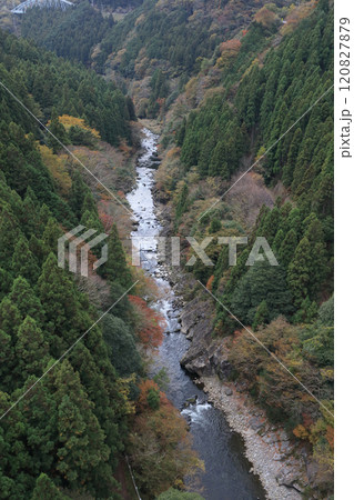 銅山川(吉野川最長の支流)の富郷渓谷の紅葉(晩秋) 銅山川(吉野川最長の支流)の富郷渓谷の紅葉(晩秋) 120827879