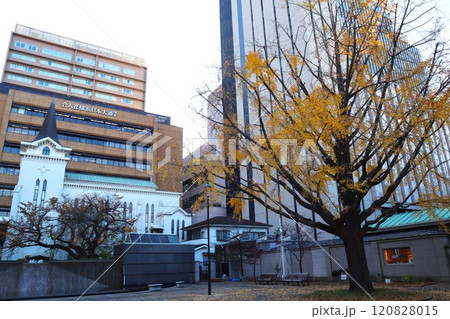 晩秋の開港広場から横浜海岸教会の風景 120828015