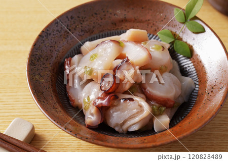 たこわさび たこわさび 120828489