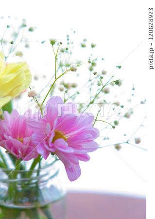 花瓶に生けた花 120828923