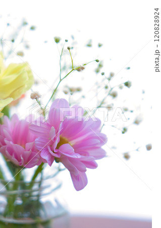 花瓶に生けた花 花瓶に生けた花 120828924