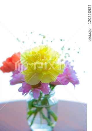 花瓶に生けた花 花瓶に生けた花 120828925