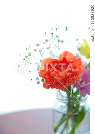 花瓶に生けた花 花瓶に生けた花 120828926